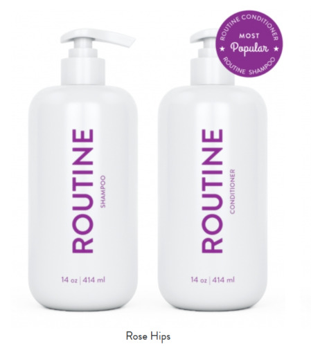 Brand NEW - ROUTINE Hair Shampoo & Conditioner - You Pick Scent